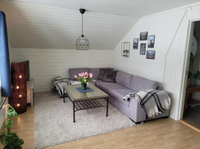 Large, cozy, family-friendly BUA Apartment Vossestrand